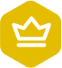 Expert Vetted Badge